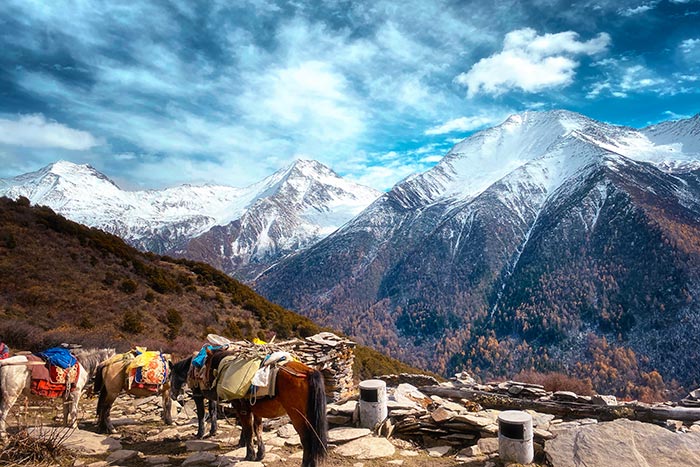 成都旅游攻略双飞路线 成都旅游攻略双飞路线图？-第2张图片-四川省中国青年旅行社